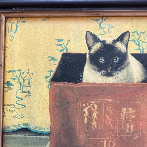 2 Miss Meka Cat Picture Paul Stagg The Bombay Company Stephanie Hoppen - Picture 5 of 16